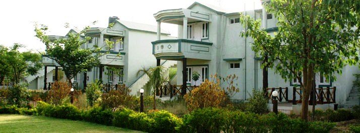 United-21 Tigers Habitat - Kanha National Park 01.jpg